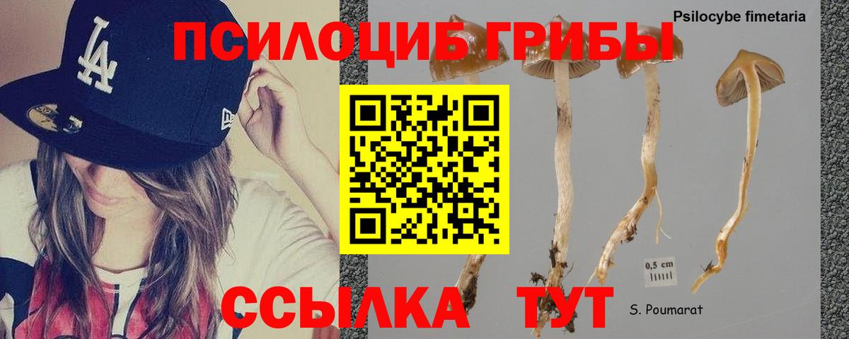 Псилоцибиновые грибы Psilocybine cubensis  что такое наркотик  Галлюциногенные грибы Psilocybe  Черемхово  Вход с VPN 