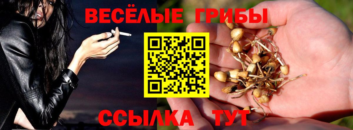 Галлюциногенные грибы Psilocybine cubensis Черемхово